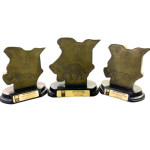 Winner – Most Improved Company - 2025
